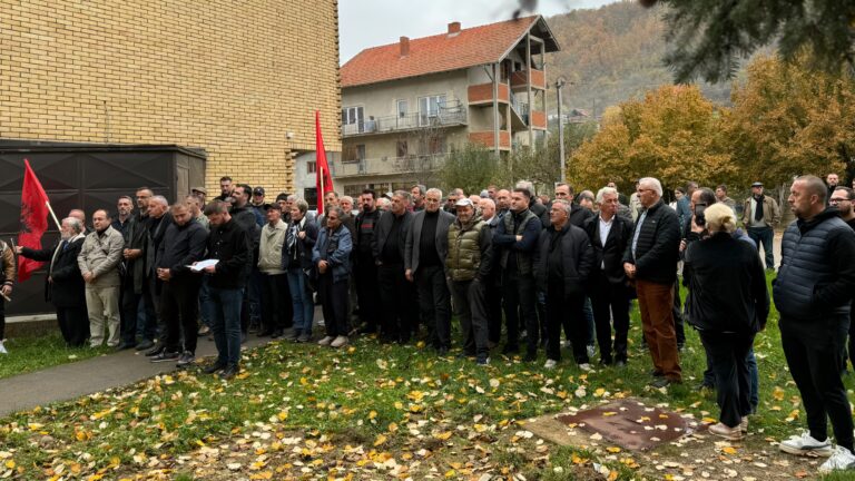 KTHEMA ADRESËN – PROTESA E SHQIPTARËVE NË MEDVEGJË (VIDEO)